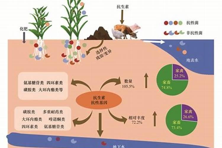 矿源黄腐酸钾和生化黄腐酸钾,区别是什么？