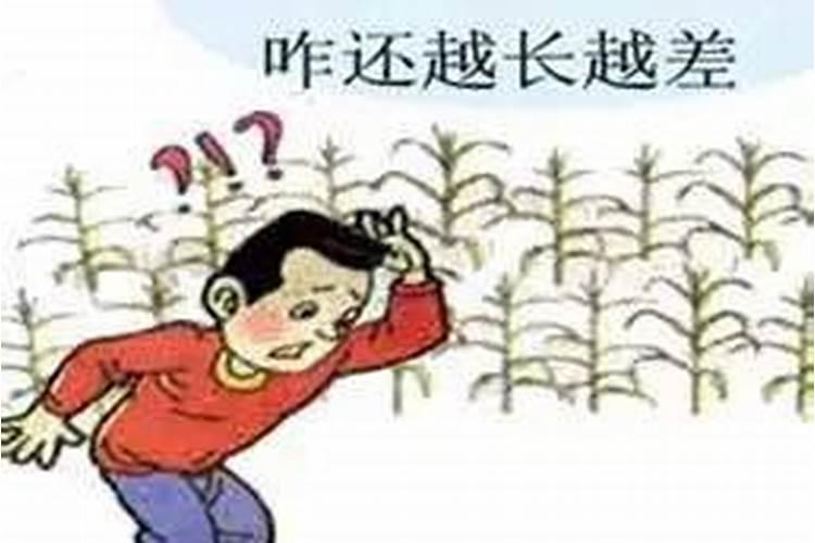 影响堆肥效果的因素有哪些