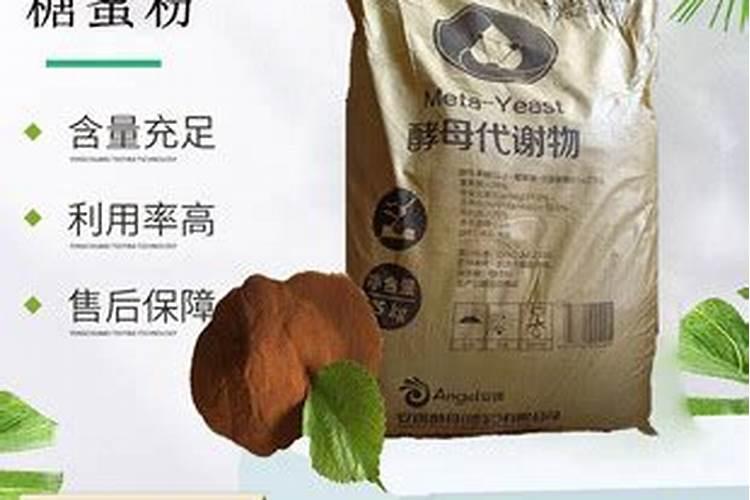 长寿花的施肥方法 长寿花的施肥注意事项