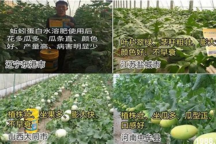 硼砂施多了作物有什么害处？