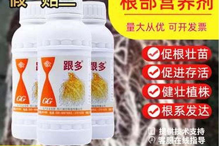 土豆水浇花的正确方法 必须发酵才能浇花吗