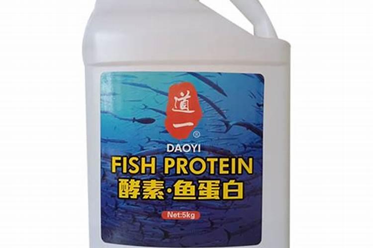 青岛黄鱼是什么鱼