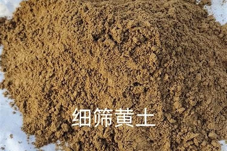 如何改良家里黄泥土？