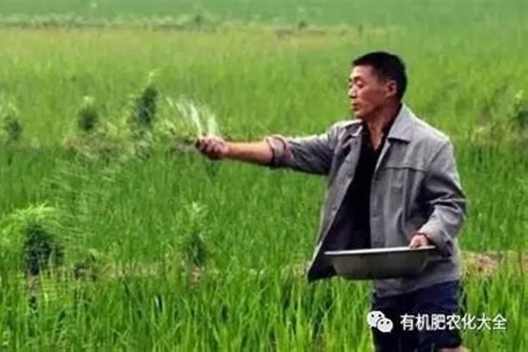 磷肥的作用及功能 快来看看吧