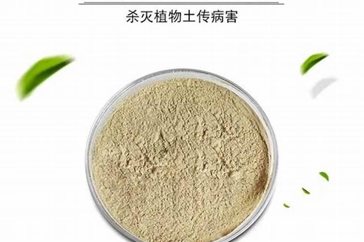 ...白菜,瓢儿菜,菜心等蔬菜,要用什么叶面肥,什么药治虫,治各种疾病百 ...