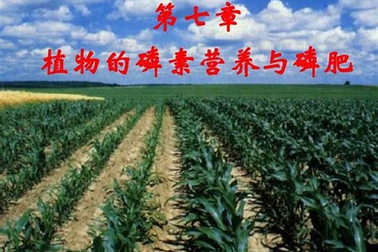 南方地区发展农业的有利条件