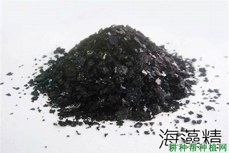海澡肥的用法