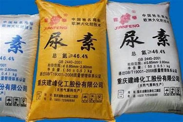 桉树施肥过多该怎么补救