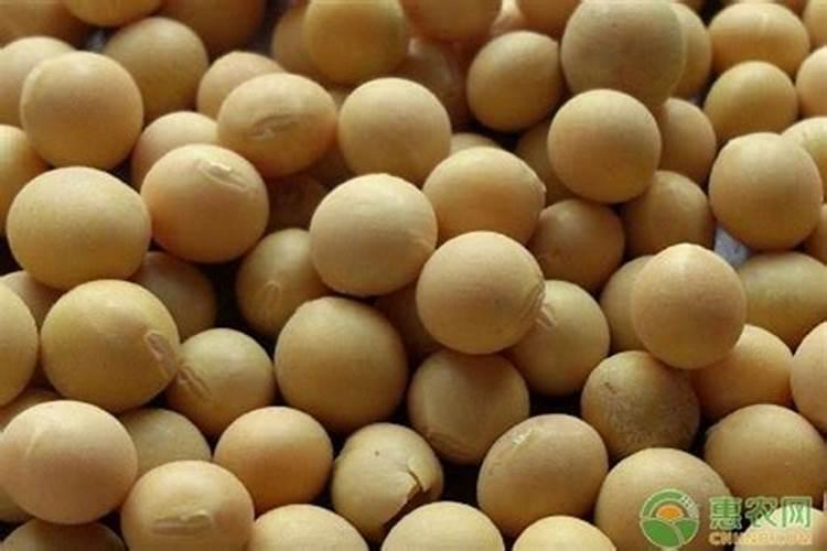 种黄豆一亩上多少二安多少钾肥多少尿素？