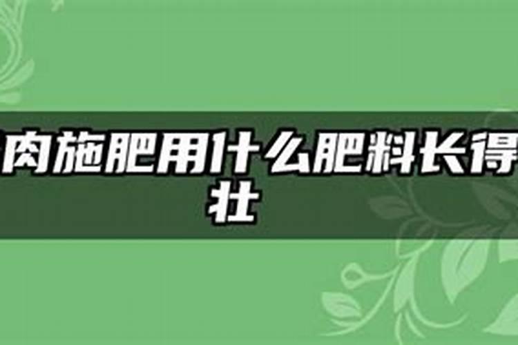 韭菜施什么肥好