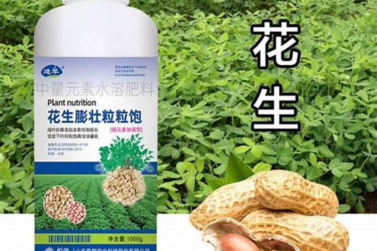 小麦硼肥的最佳使用时期