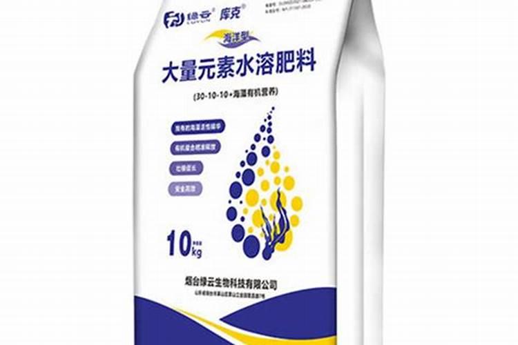 槟榔树的养殖方法和注意事项