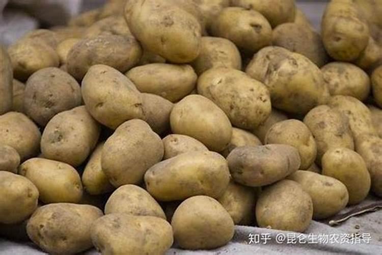 硫酸钾水溶肥和大量元素水溶肥能混用吗？
