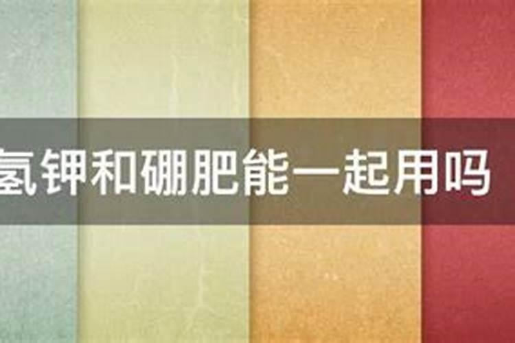 简述三种DNA聚合酶的作用特点和主要功能