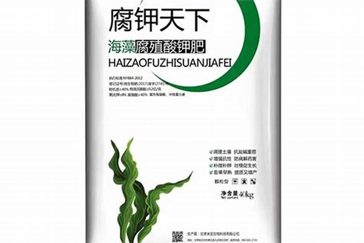 黄瓜枯萎病特效药？黄瓜枯萎病打什么药？黄瓜增产施肥如何做