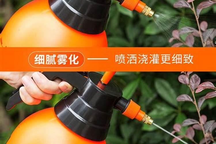 开水冲红薯粉的做法