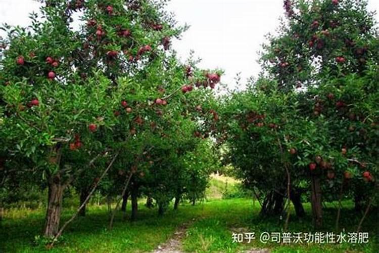 光热产业有毒物质