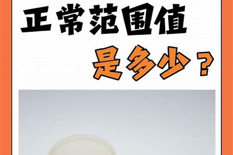 大棚丝瓜怎样种植