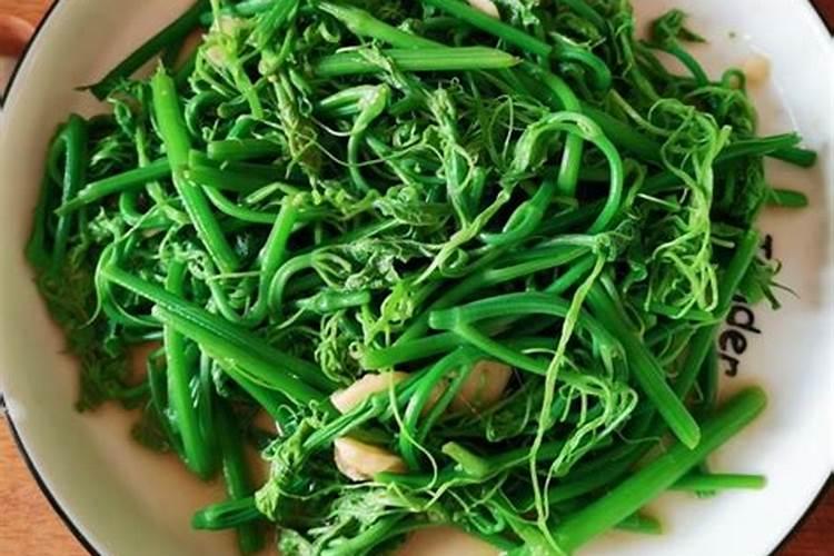 叶绿素叶面肥喷在秧田里能用几次吗？