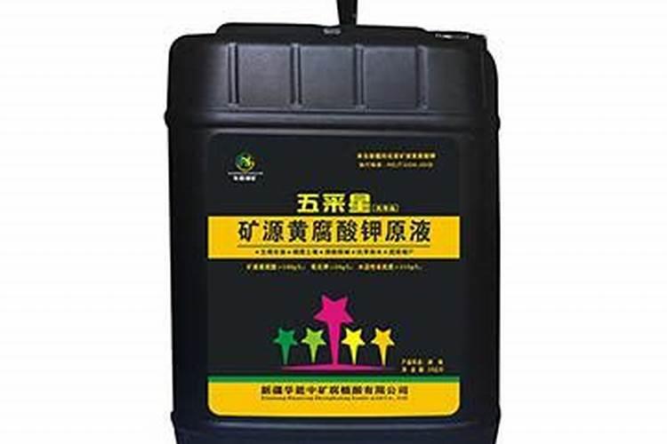 花叶万年青怎么进行温光管理？