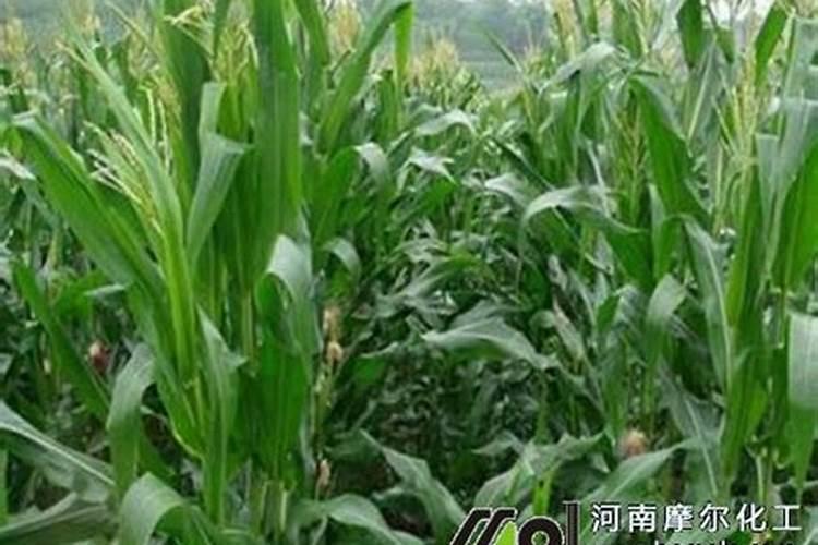 氟化钾是有害物质吗？具体注意事项是什么？