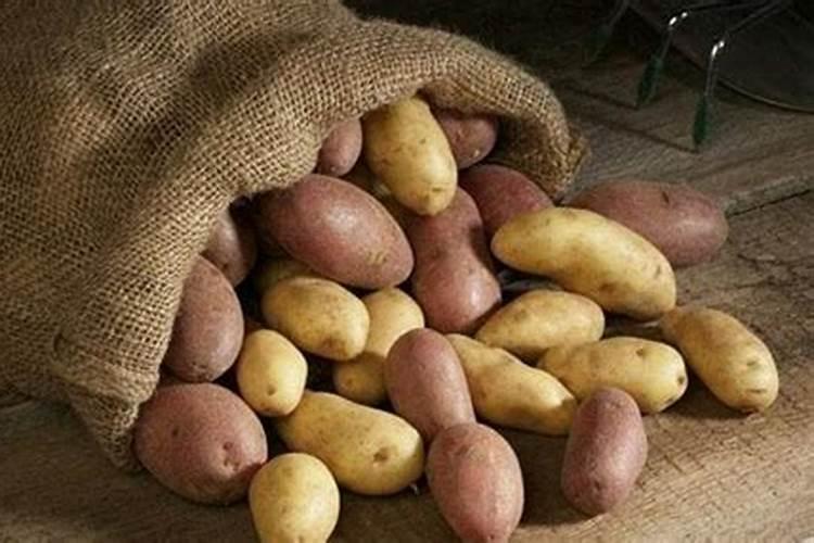 土豆可以保存多久 土豆怎么保存时间长新鲜