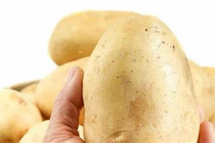 土豆怎样在冷库大量储存