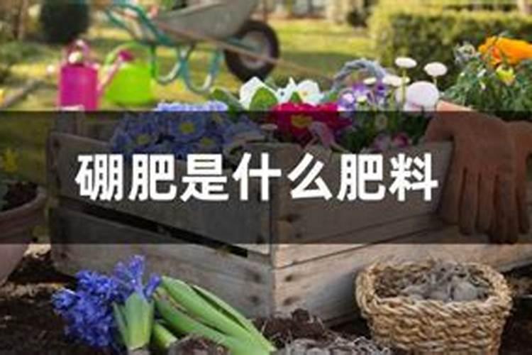 化工店里买的硼酸可以兑水浇花吗？