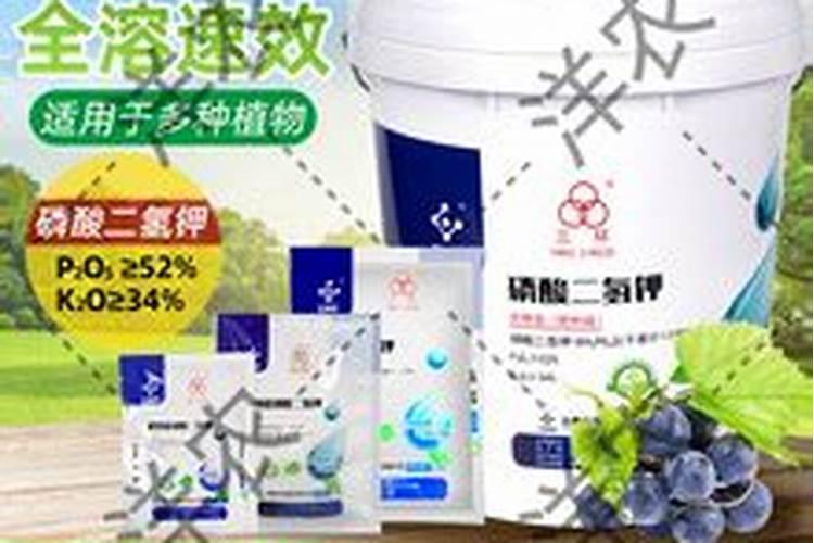 硼肥不能和什么一起用？如果使用错误会产生哪些影响？