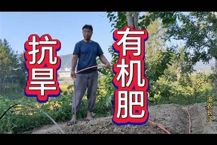 关于月古诗