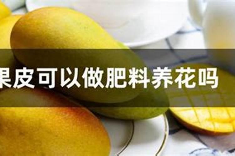 无土栽培瓜果定植后,浇水施肥有讲究,农户别用错了方法