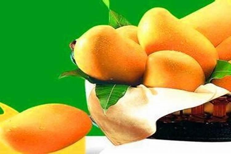 芒果皮可以做肥料吗