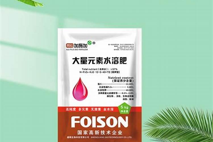 鲫鱼汤为什么是白色的