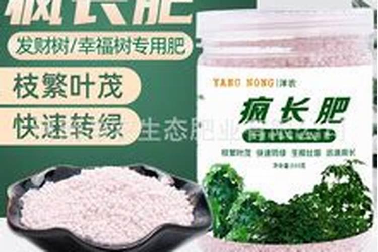 生根肥料有哪些 钾肥的作用是什么