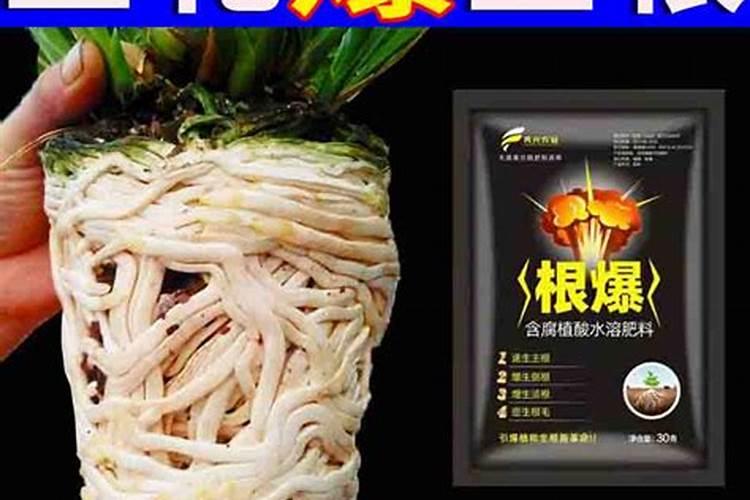 美业是什么行业