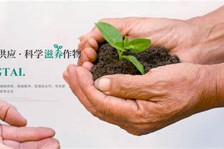 腐殖酸肥料的效果是什么？应该如何使用？
