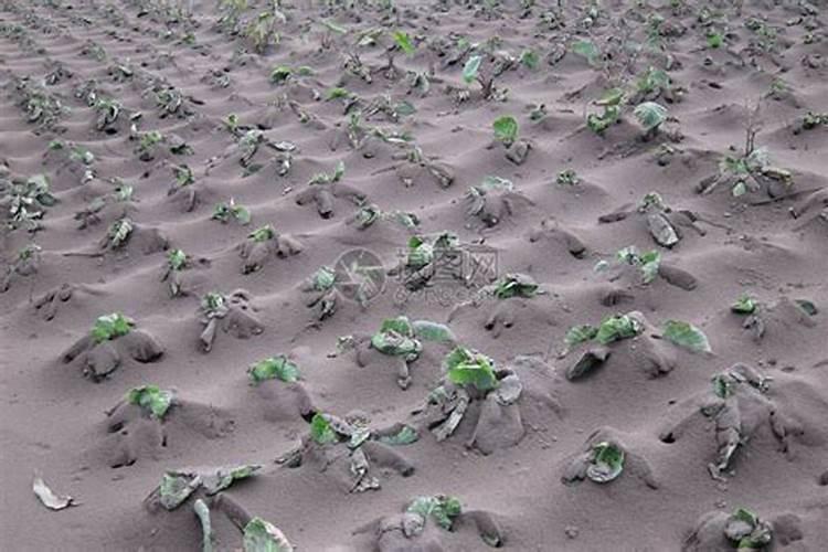 火山灰中的钾肥化学式