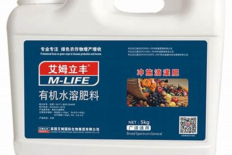 大棚西红柿定植后什么时候开始喷叶面肥？