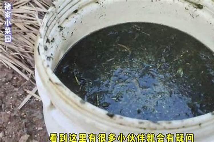 磷肥做底肥会烧根吗