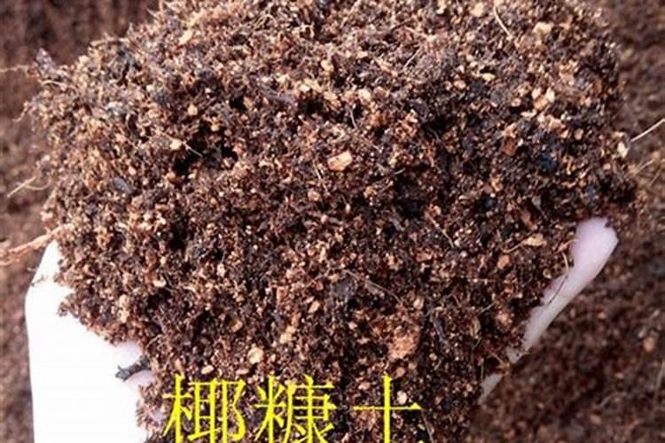 番茄膨果叶面肥效果最好的是哪种