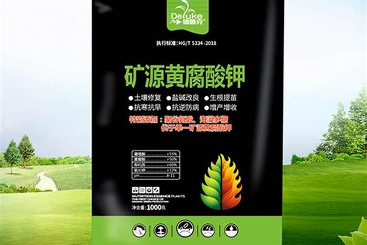 全国最大腐植酸生产厂家