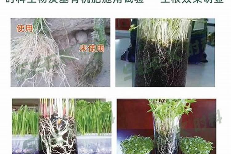 氯化铵在农作物中有哪些特定的应用效果和可能的负面影响？