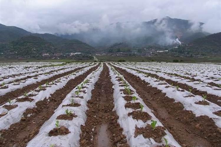 大量元素水溶肥料分类标准