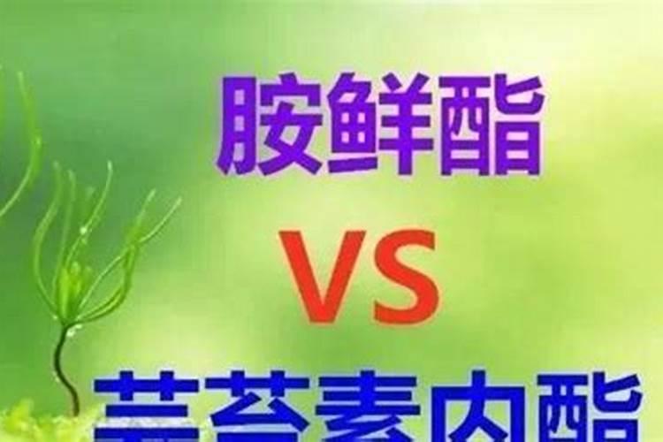 草莓施肥时间和方法