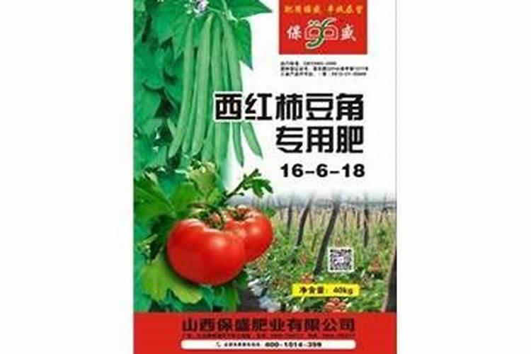 大姜能苗栽吗？