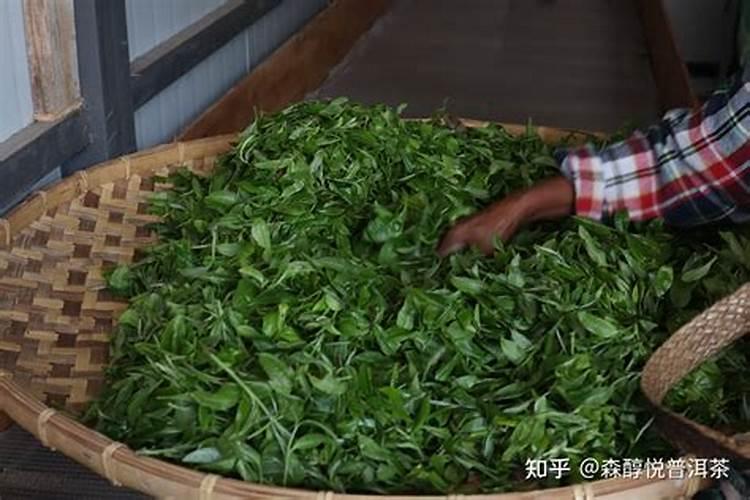茶叶用什么化肥好