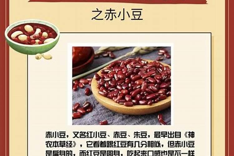 红小豆什么时候种