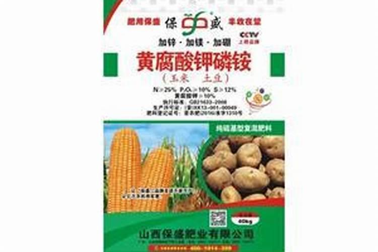 一年不用浇水的绿植 什么绿植可以一年不浇水