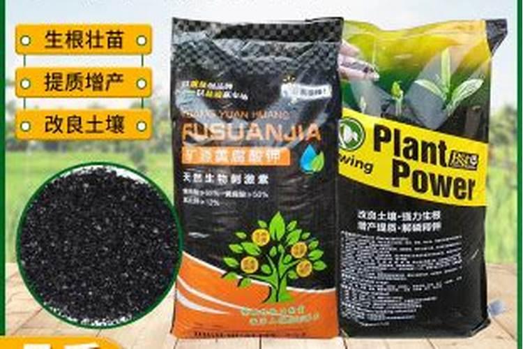 氨氮去除工艺选择哪个去除效果最好？