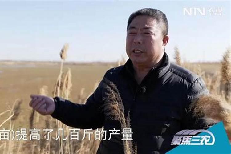 磷肥对盐碱适合吗？